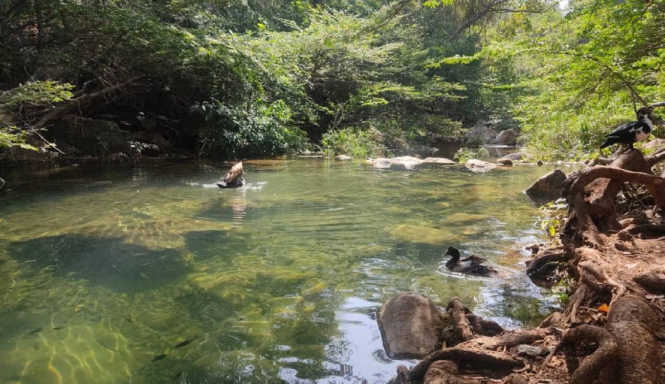 1649777319_896730_1649777605_noticia_normal_recorte1