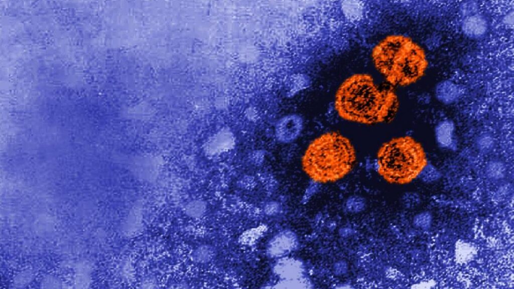 Hepatitis de origen desconocido se acerca a Colombia | RTA Noticias