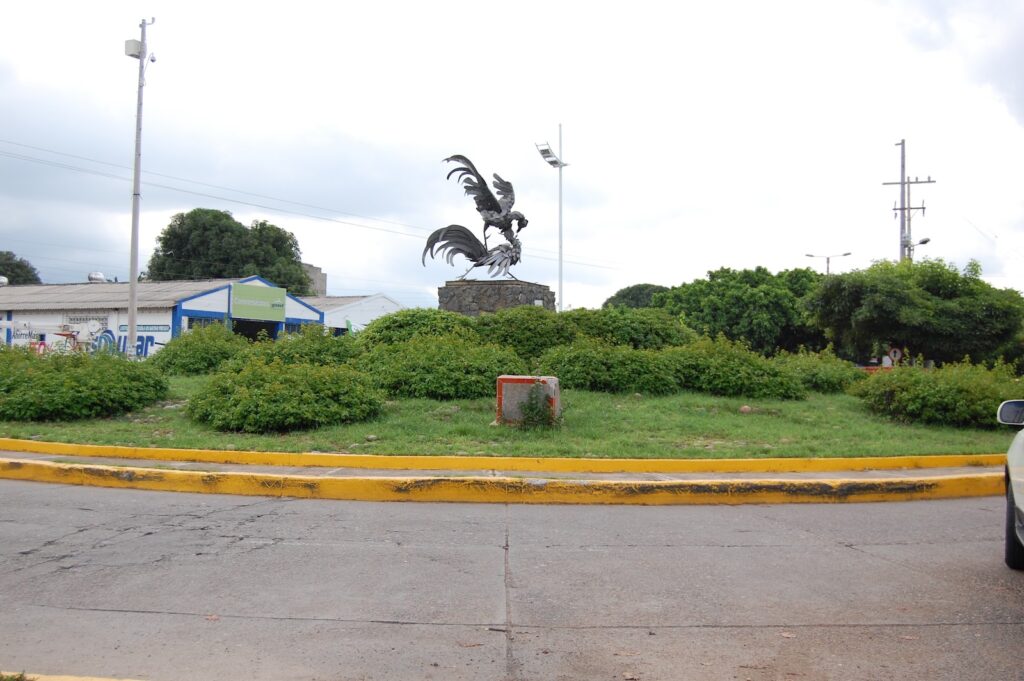 Autoridades investigan muerte de joven en accidente | RTA Noticias