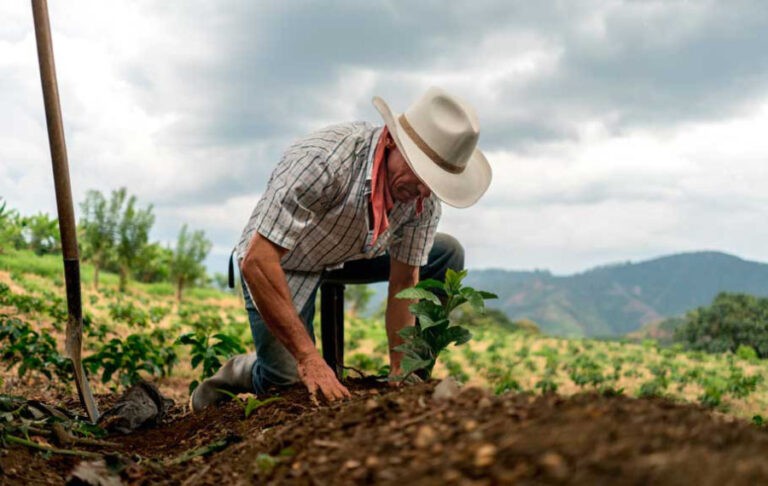 Emprendedores rurales podrán acceder a microcrédito Dia-Internacional-de-La-Lucha-Campesina-scaled-1