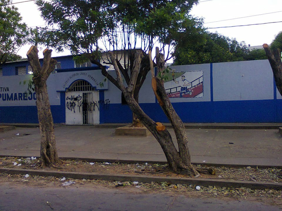 Una mujer fue capturada cuando iba a votar en Valledupar WhatsApp-Image-2022-05-29-at-12.45.43-PM