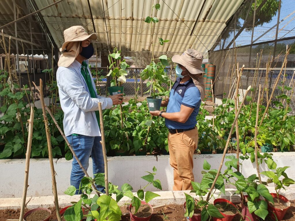 Lideresa vallenata presentó frijol sequía ante el Gobierno | RTA Noticias
