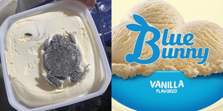 1656357901_No-podemos-ver-la-rana-en-este-helado-de-conejo
