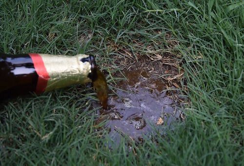 Golpeó a su mujer porque le botó una cerveza Golpeó a su mujer porque le botó una cerveza | RTA Noticias