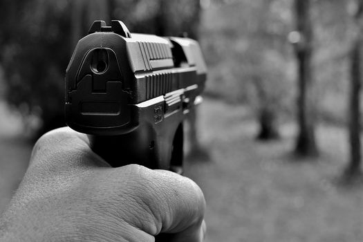 Perro murió tras ser herido con arma traumática en el Sicarare Perro murió tras ser herido con arma traumática en el Sicarare | RTA Noticias