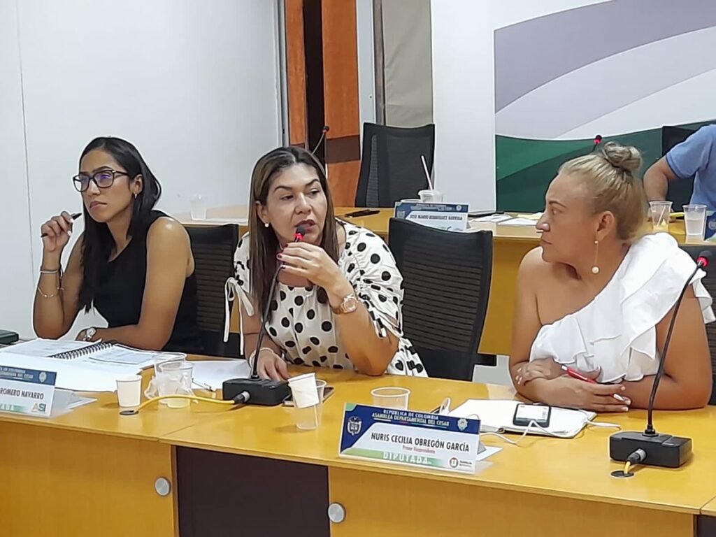 Decretan nulidad en elección de Petrona Romero | RTA Noticias