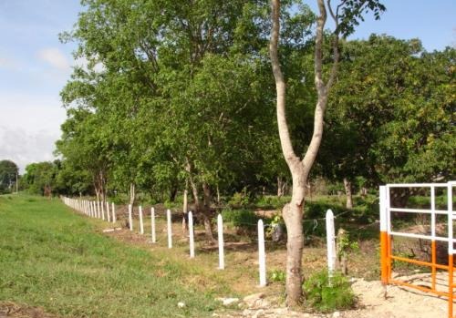 Encapuchados armados cometieron un hurto en finca WhatsApp-Image-2022-06-29-at-3.01.22-PM