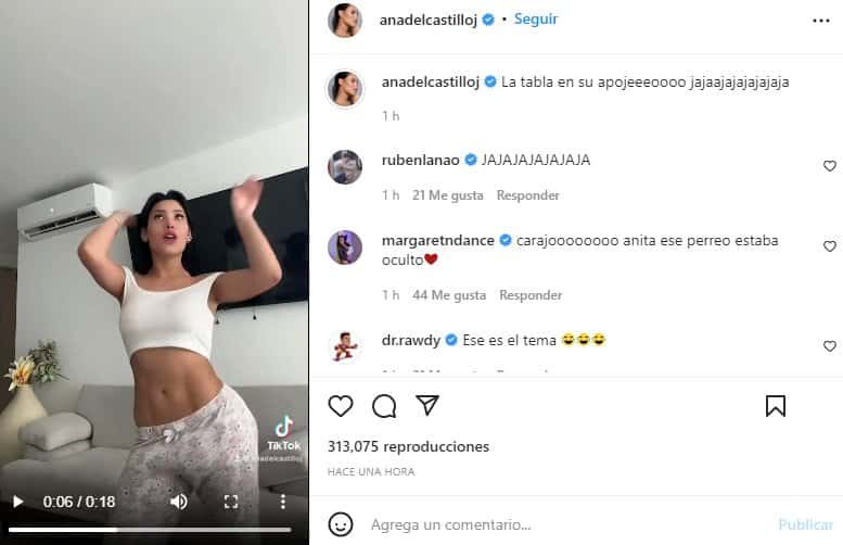 ana-del-castillo-baile