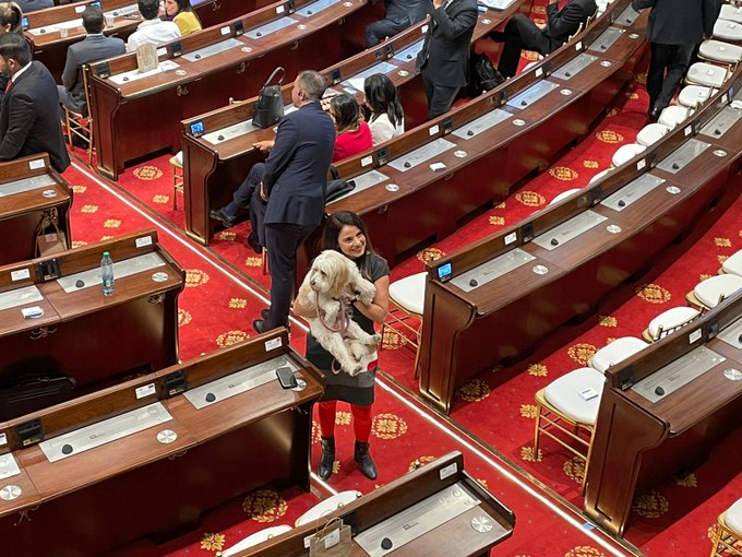 ¿Quién es la senadora que llevó su mascota al Congreso? | RTA Noticias