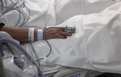 Está hospitalizado presunto asesino del perro "Roco" Está hospitalizado presunto asesino del perro "Roco" | RTA Noticias