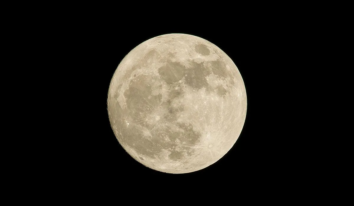 luna-1957965
