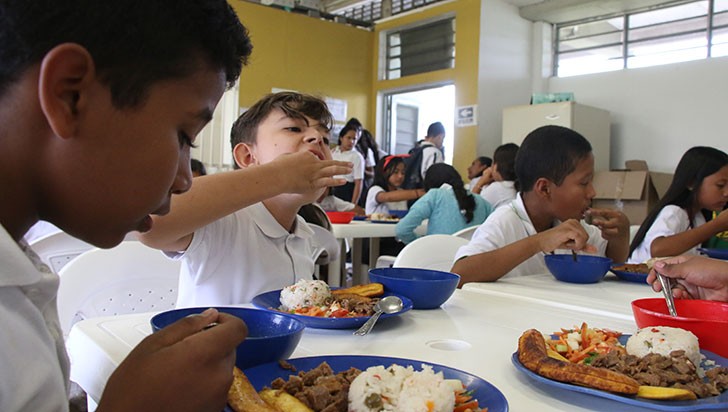 Descubren carne de caballo en alimentación escolar | RTA Noticias