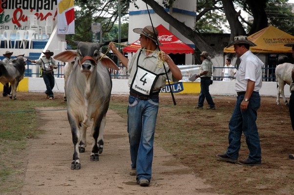 AGRO-FOTO-3-FERIA-VALLEDUPAR-EXPOSICION-2