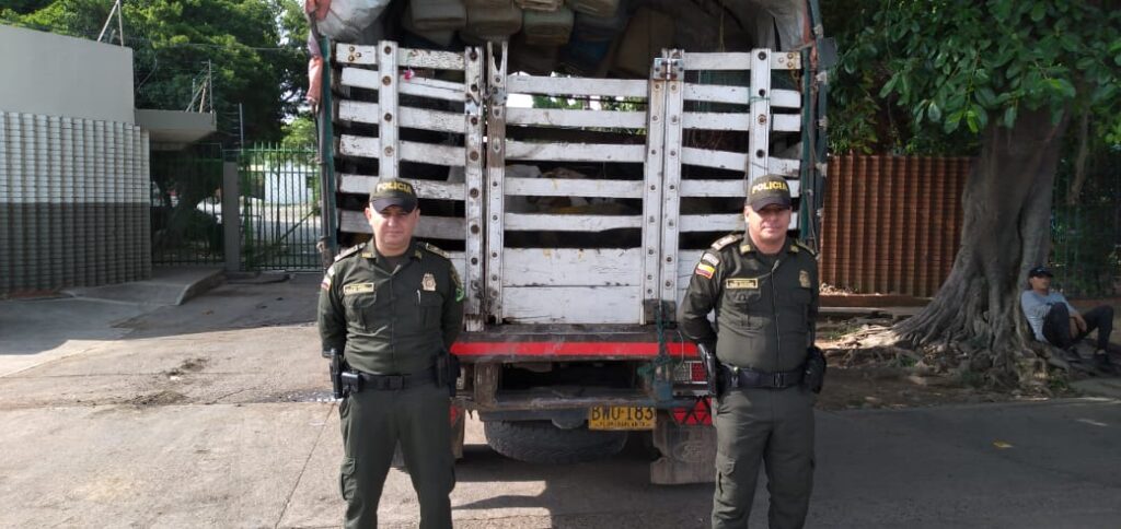 Incautan semovientes sin permiso sanitario | RTA Noticias