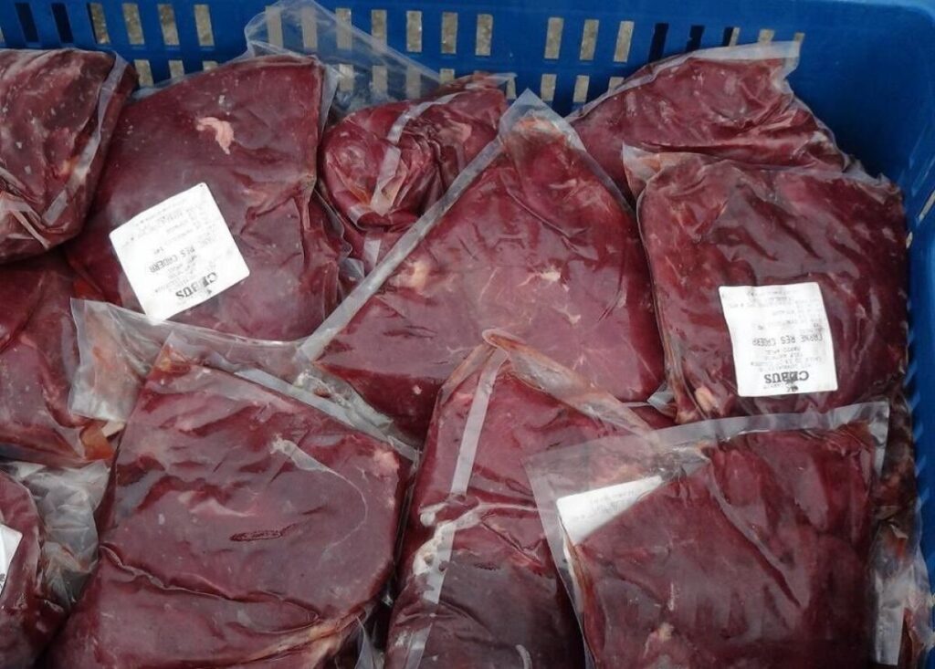 Descubren carne de caballo en alimentación escolar | RTA Noticias