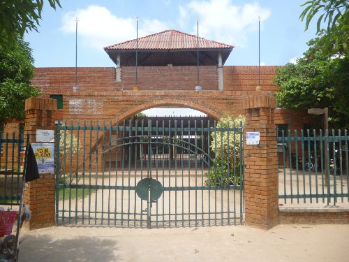 image-11-1