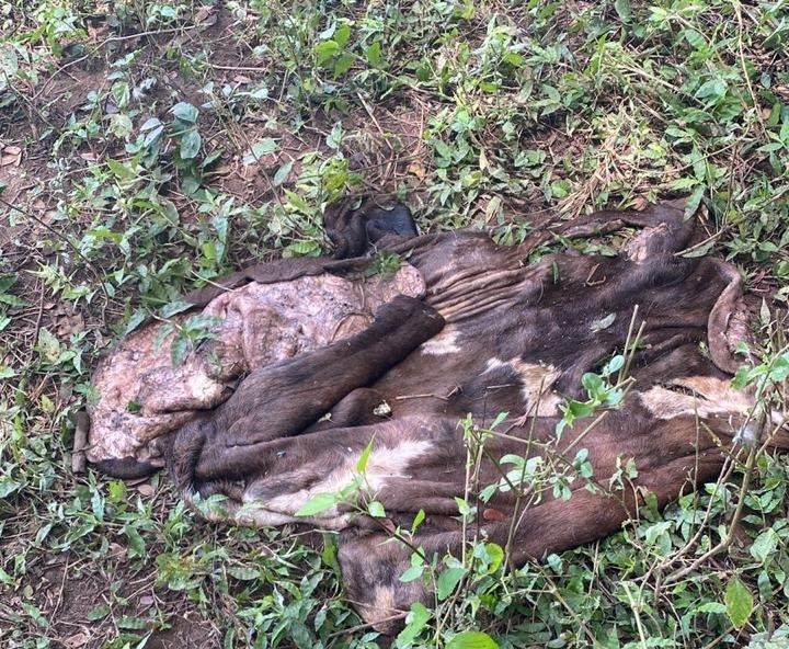 WhatsApp-Image-2022-09-01-at-5.25.21-PM