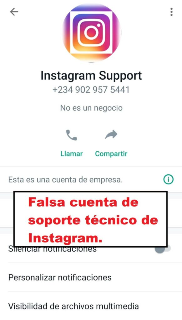 ¡Cuidado! Robo de cuentas de Instagram | RTA Noticias