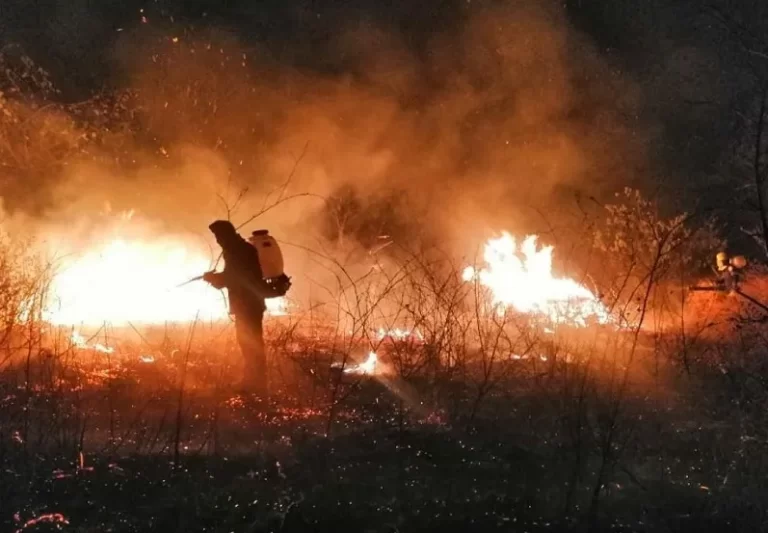 Incendio en antiguo lote Idema de Valledupar QUEMA-PROHIBIDA