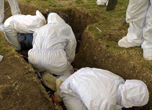 WhatsApp-Image-2022-10-21-at-10.36.57-AM