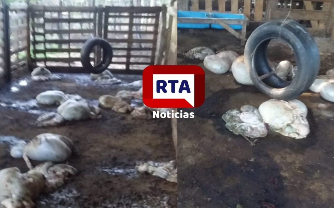 WhatsApp-Image-2022-10-22-at-8.37.29-AM