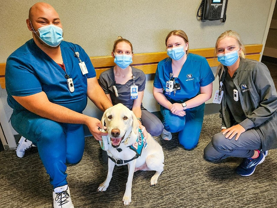 Dude, el perro terapeuta para pacientes con cáncer | RTA Noticias