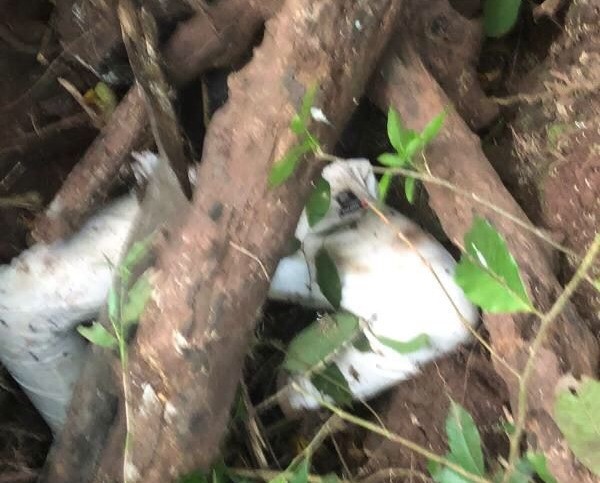 Capturan al presunto asesino del joven Carlos Vega | RTA Noticias