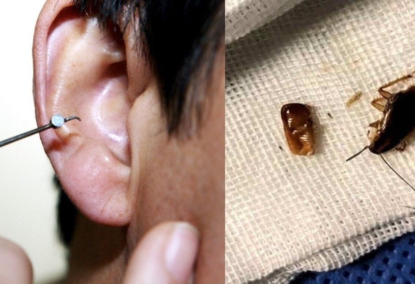 WhatsApp-Image-2022-12-01-at-6.55.26-PM