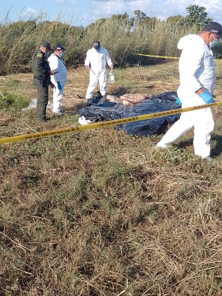 Hallan cadaver envuelto en bolsas de basura Hallan cadaver envuelto en bolsas de basura | RTA Noticias