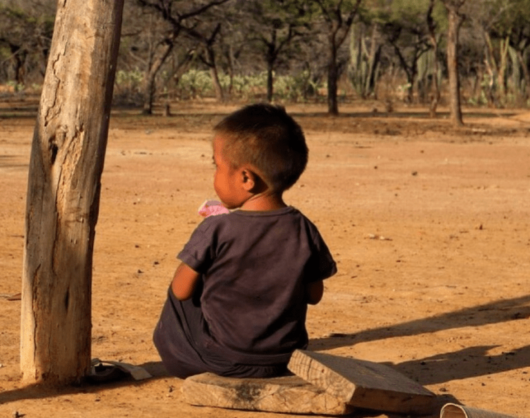 Abren indagación por muerte de 3 bebés Wayuu image-107