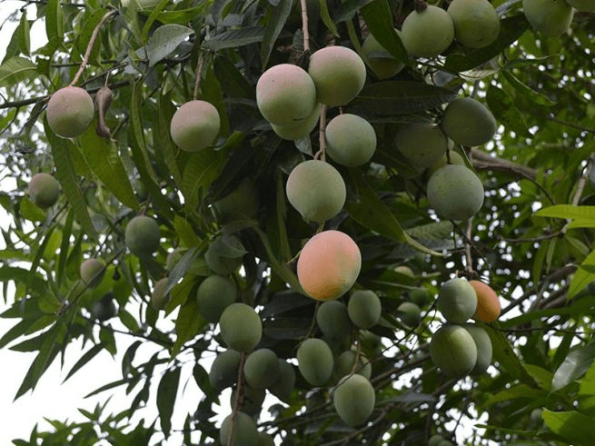 image-67