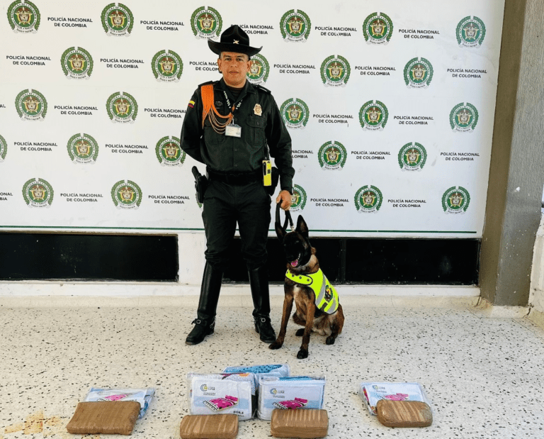 Incautan 7 kilos de marihuana en bodega de mensajería image-106