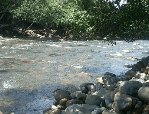 Hombre que estaba desaparecido fue hallado sin vida | RTA Noticias