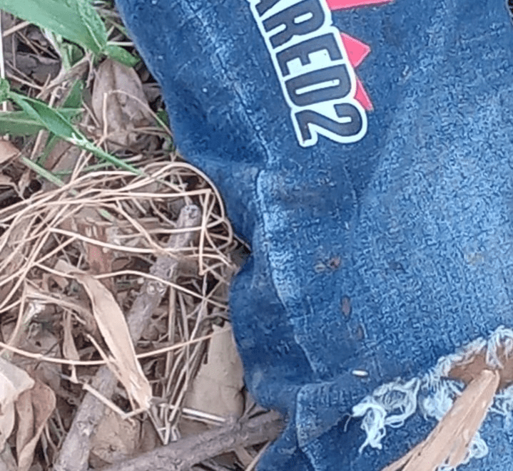 Fue hallado hombre muerto en Aguas Blancas | RTA Noticias