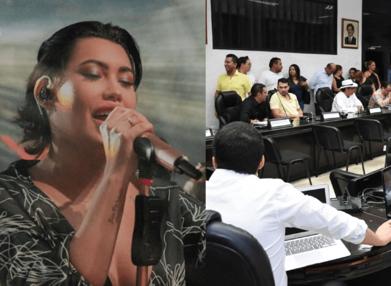 Las propuestas de Ana del Castillo si se lanzara al Concejo image-94