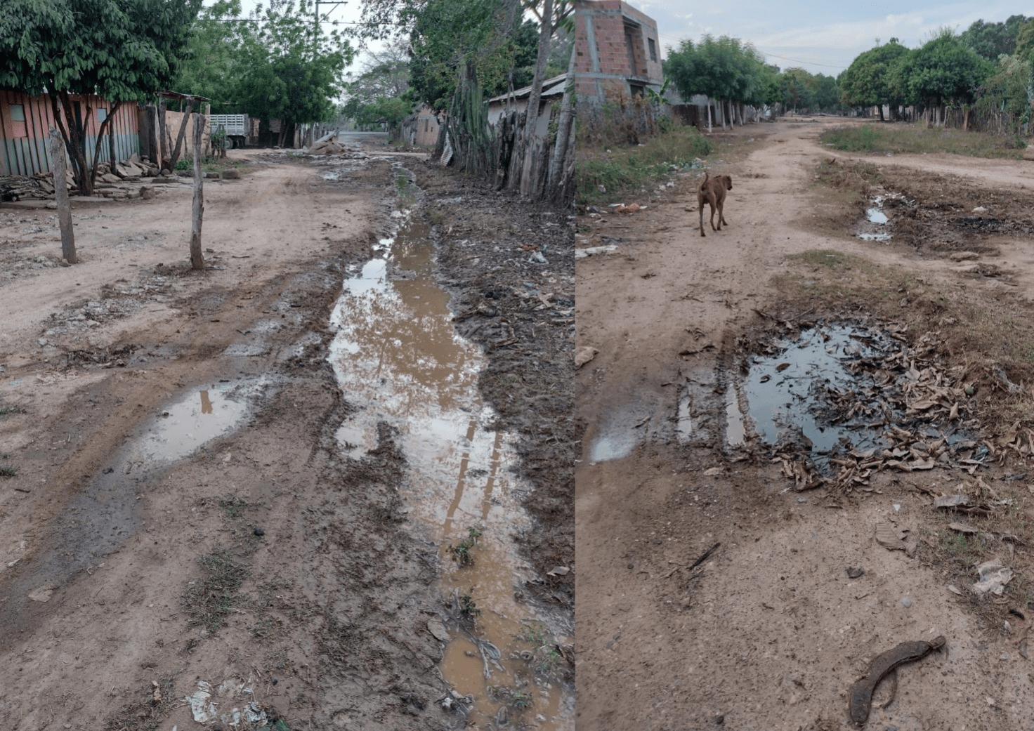Barrio de El Guamal realizará bingo para pavimentar calle image-119