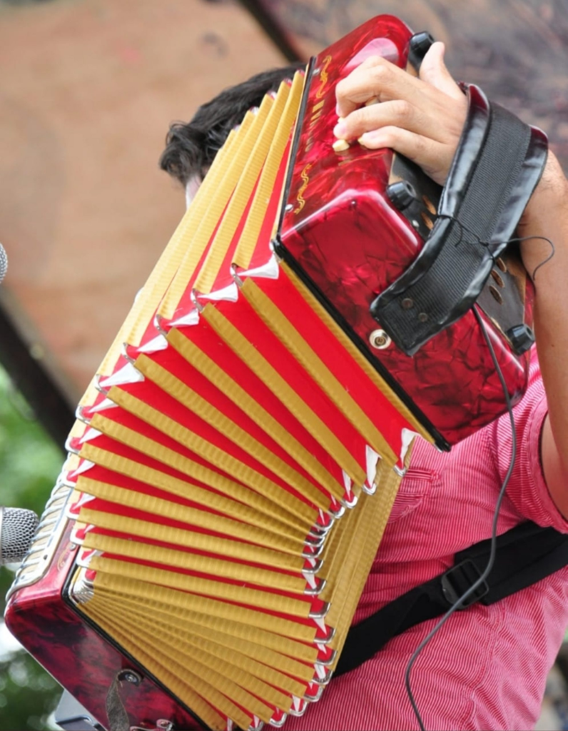 Concursantes de 8 países y 15 departamentos en el Festival Vallenato Concursantes de 8 países y 15 departamentos en el Festival Vallenato | RTA Noticias