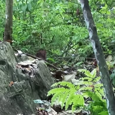 Hallan cuerpo en descomposición en Valledupar | RTA Noticias