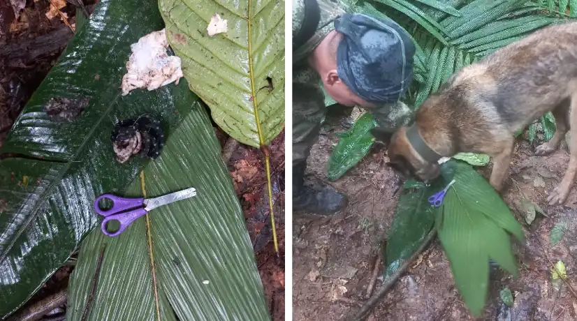 Encuentran a los 4 niños desaparecidos por accidente de avioneta | RTA Noticias