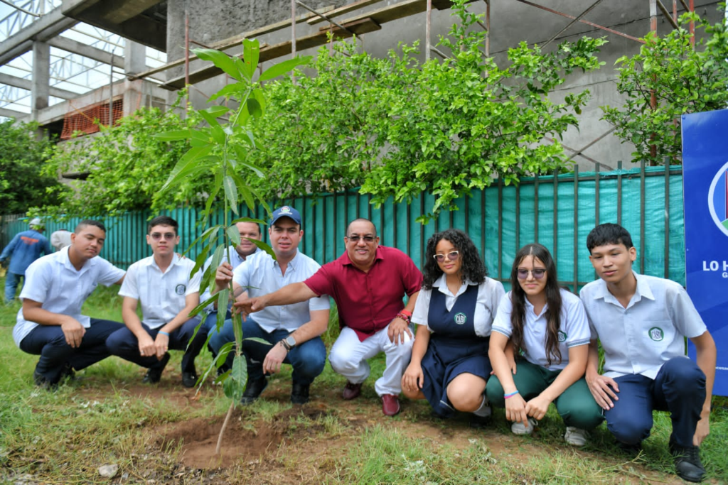 Siembran mil árboles al rededor de instituciones educativas | RTA Noticias