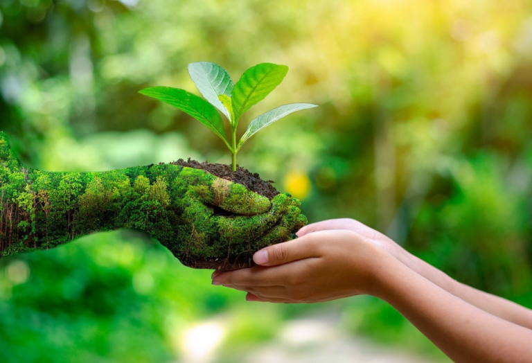 Se conmemora el Día Mundial del Medio Ambiente image-32