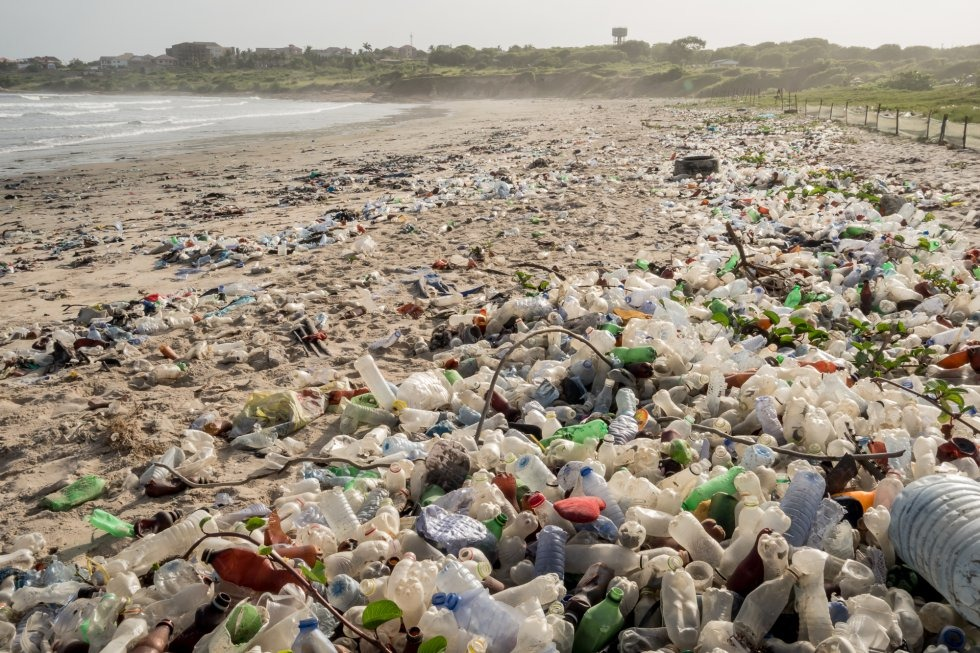 Se conmemora el Día Mundial del Medio Ambiente | RTA Noticias