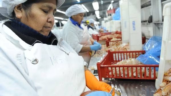 Mujeres ya no tendrán que cotizar 1.300 semanas para pensionarse | RTA Noticias