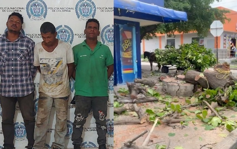 3 hombres capturados por tala indiscriminada de árboles image-62