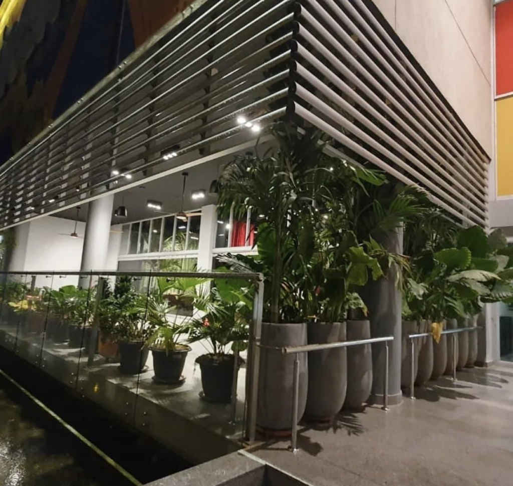 Silvestre Dangond inaugurará su restaurante en Valledupar | RTA Noticias