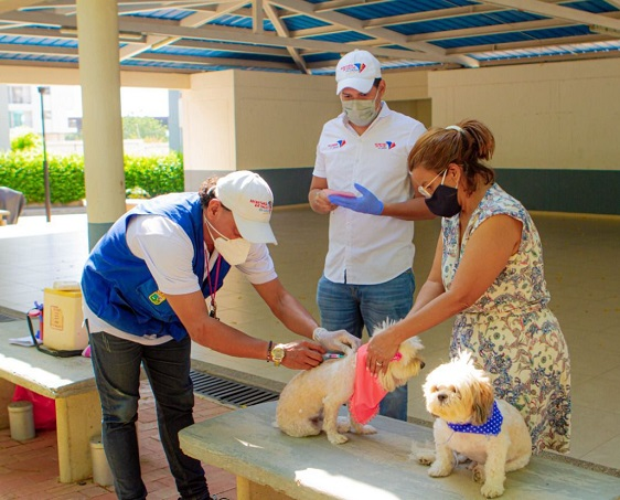 Celebrarán Día Mundial del Perro en Valledupar | RTA Noticias