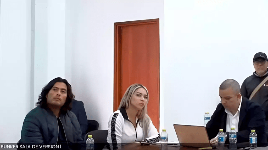Nicolás Petro reveló que dinero entró a campaña presidencial | RTA Noticias