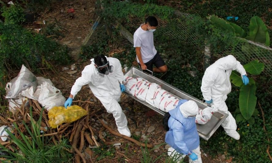 Joven de 25 años fue asesinado en una finca image-82