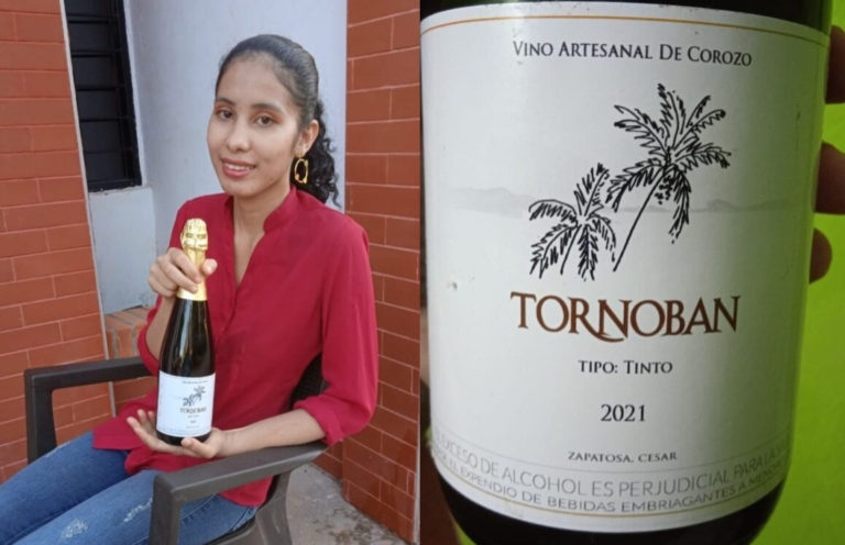 Tornoban el vino de Corozo que lleva el sabor de Zapatosa al mundo image-125