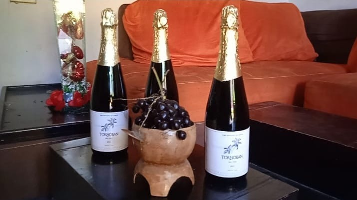 Tornoban el vino de Corozo que lleva el sabor de Zapatosa al mundo | RTA Noticias